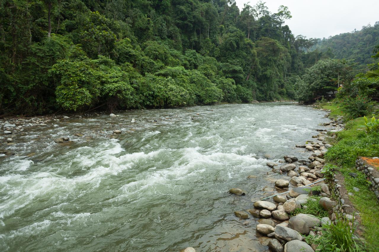 Indra Valley Inn Bukit Lawang Exterior foto