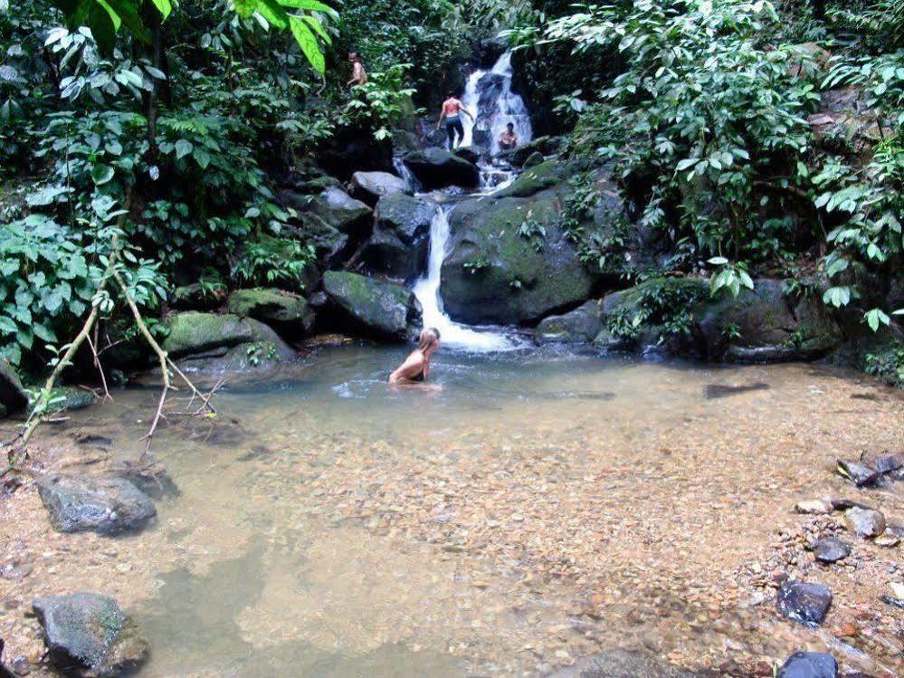 Indra Valley Inn Bukit Lawang Exterior foto