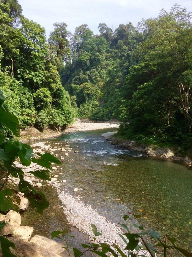 Indra Valley Inn Bukit Lawang Exterior foto